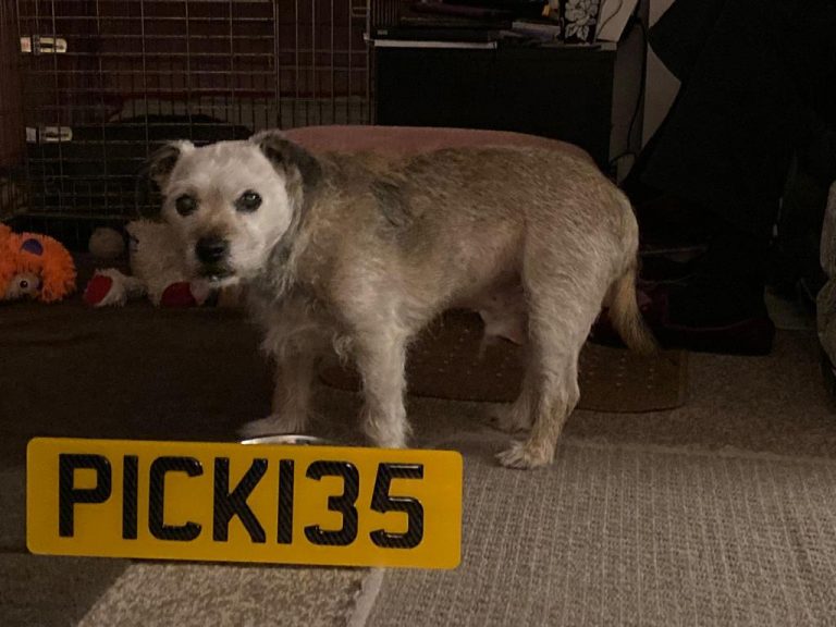 The Futuristic Appeal of 4D Number Plates